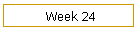 Week 24