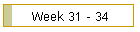 Week 31 - 34